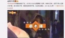啪啪说在线观看,在线观看的视听盛宴