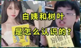 白姨爆料原视频大全,揭秘原视频大全背后的精彩故事
