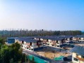 丰县最新爆料,揭秘背后惊人真相