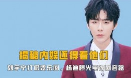 刘宇宁直播爆料视频全集,爆料视频全集深度解析