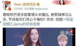 灵荣夫妻爆料视频播放下载,独家播放下载，揭秘幕后真相
