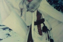 孟非爆料雪山飞狐视频全集,雪山飞狐视频全集背后的故事与幕后花絮