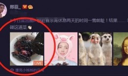 邢菲最新爆料消息新闻,揭秘娱乐圈背后的惊人真相