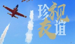 红鹰 在线观看,在线观看，揭秘神秘传奇