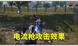 和平精英最新武器爆料视频,神秘性能引玩家热议