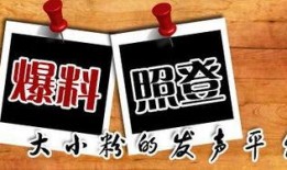 爆料新闻的平台