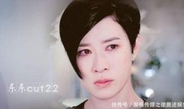 港媒爆料佘诗曼视频全集,揭秘明星幕后生活
