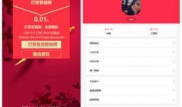 爆料人如何赚钱呢视频下载,视频下载背后的盈利之道