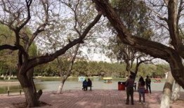 兰州植物园爆料案件最新,真相渐浮水面，疑云终将揭晓