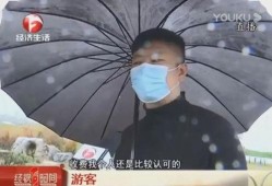 吃瓜视频在哪看网红的作品,网红作品一网打尽