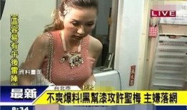 台湾黑帮爆料视频播放网站,独家视频网站幕后真相曝光