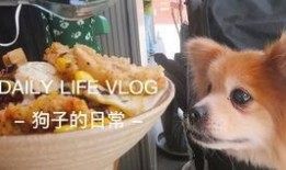 二狗爆料生活视频下载大全,揭秘幕后故事