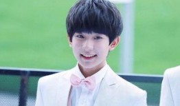 娱乐吃瓜酱王源,娱乐吃瓜界的“酱王”传奇