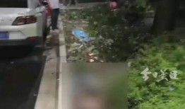 广东车祸最新爆料,多车连环相撞，事故原因及伤亡情况引关注