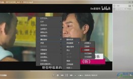 爆料新冠蝙蝠视频播放,新冠蝙蝠视频播放背后的真相与科学探究