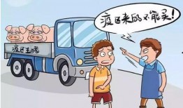 猪瘟最新爆料新闻,揭秘病毒传播途径与防控措施