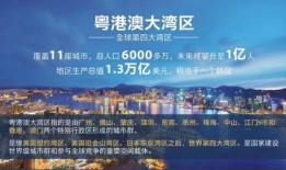 泰安生活圈爆料新闻最新