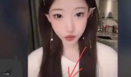 李恩爆料后续视频,揭秘事件真相与惊人内幕