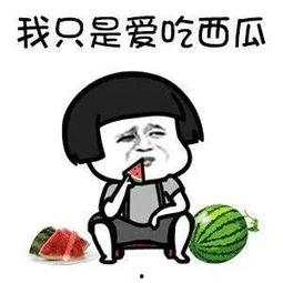 娱乐吃瓜酱一年